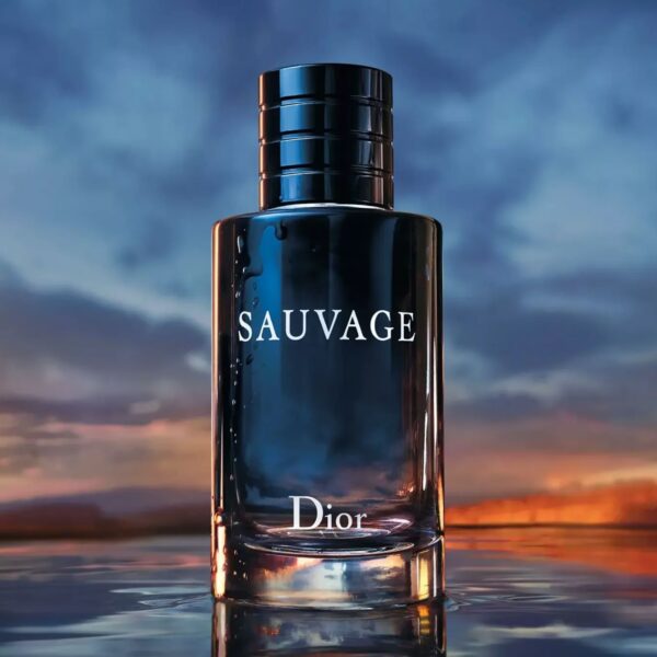 دیور ساوج (کریستین دیور ساواج) Dior - Dior Sauvage